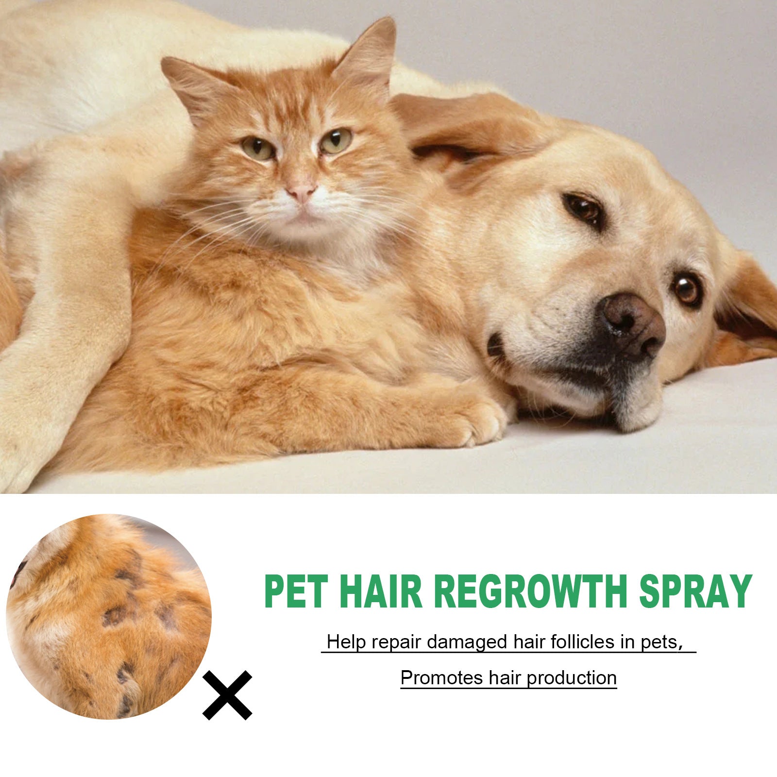 Pet Coat Growth Spray Follicle Repair Anti-Shedding Mist 4oz - Detail Angle 3 | Majestic Pet Kingdom