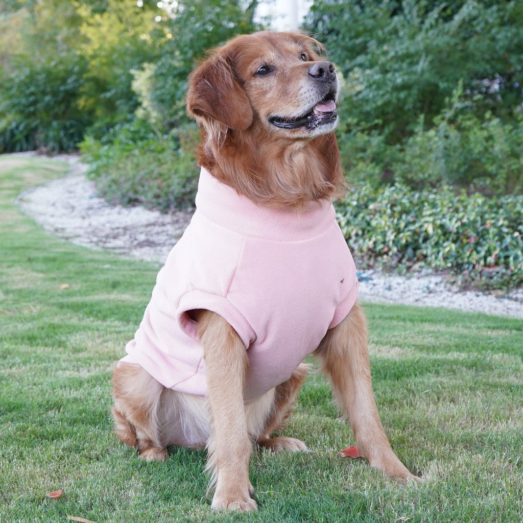 Large Dog Winter Coat: Warm Pet Apparel