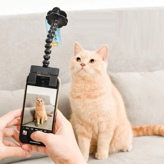 pet-photography-teddy-camera-toy-phone-camera-st-selfie-clip-supplies-luxury-view-1 | Majestic Pet Kingdom
