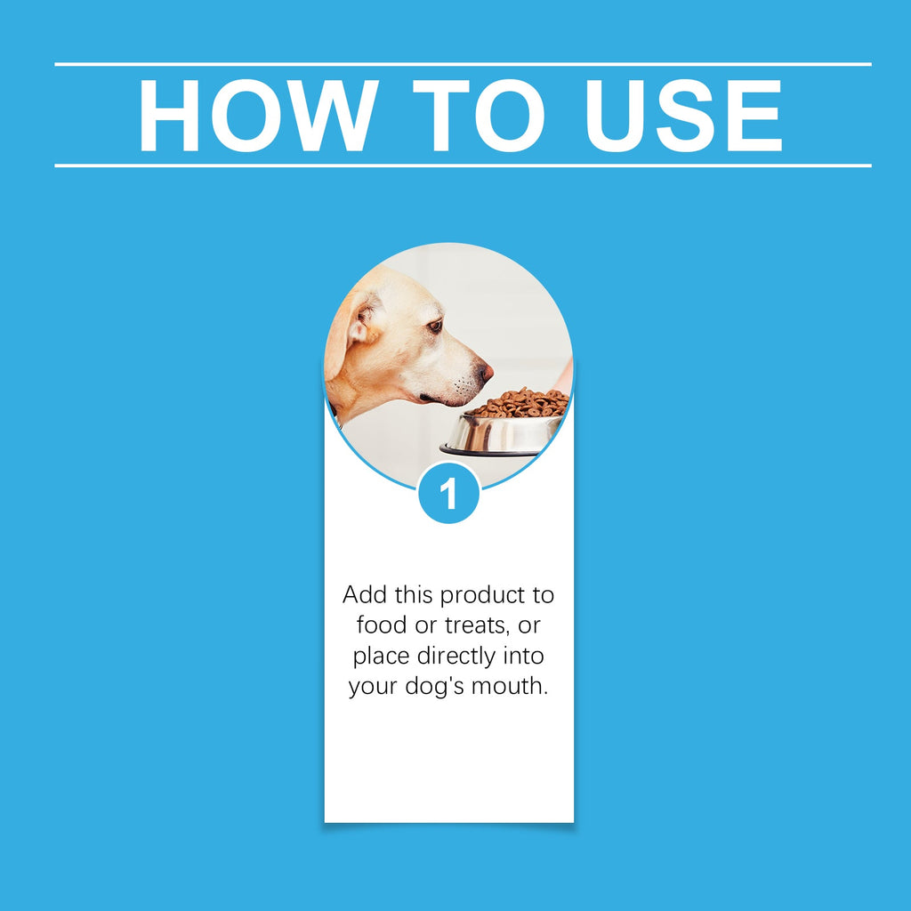 Dog Health Supplement: Vitality Maintenance Syrup