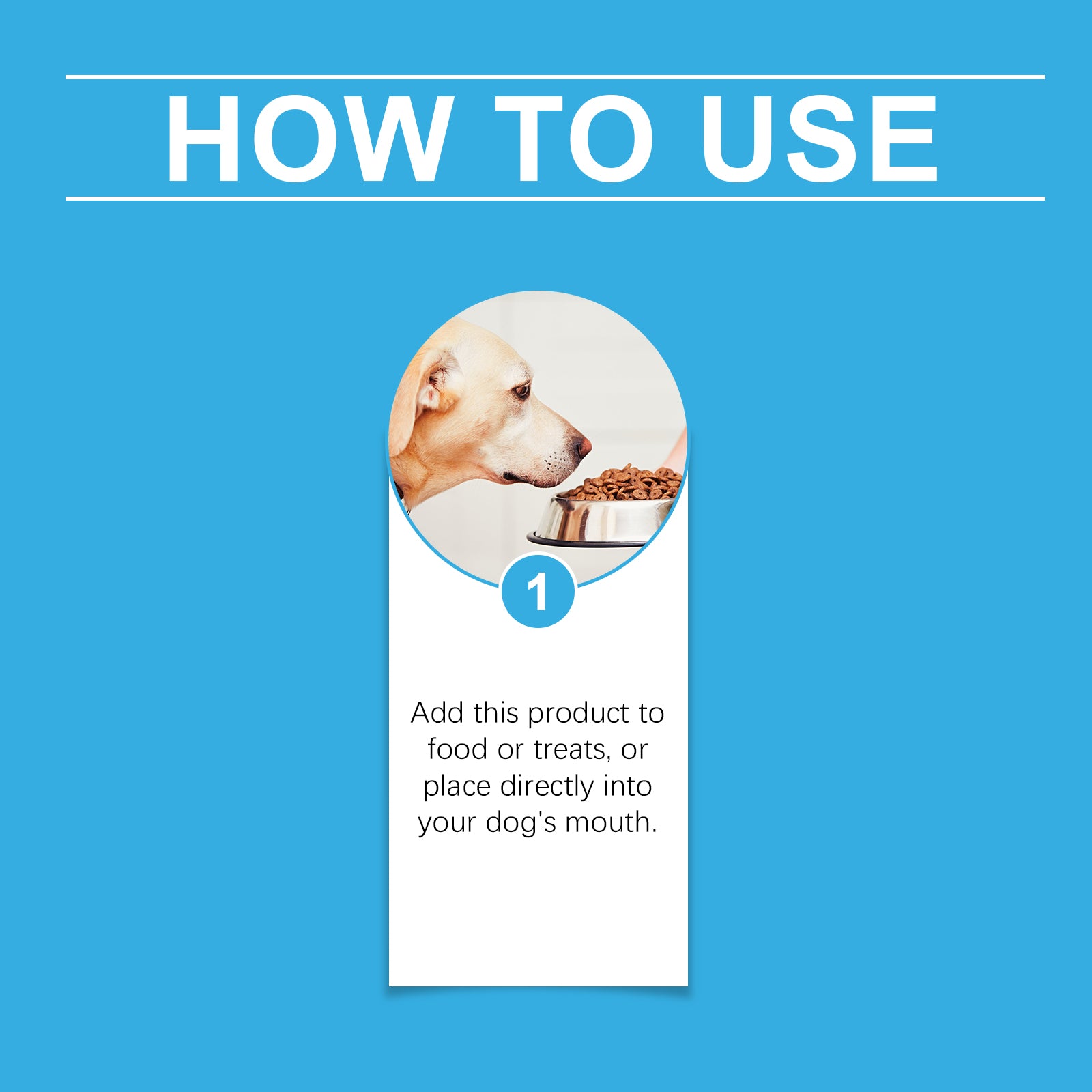 Dog Health Supplement: Vitality Maintenance Syrup