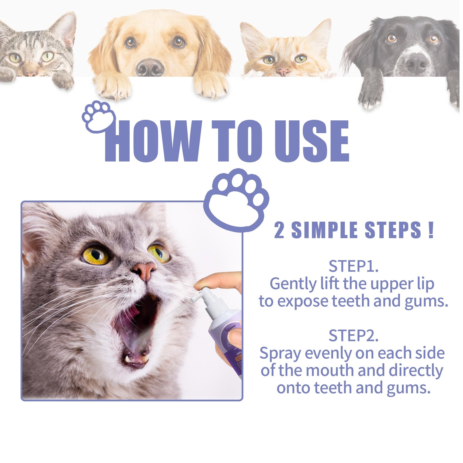 Dog & Cat Tooth Cleaning Spray: Pet Mouth Deodorizing Spray