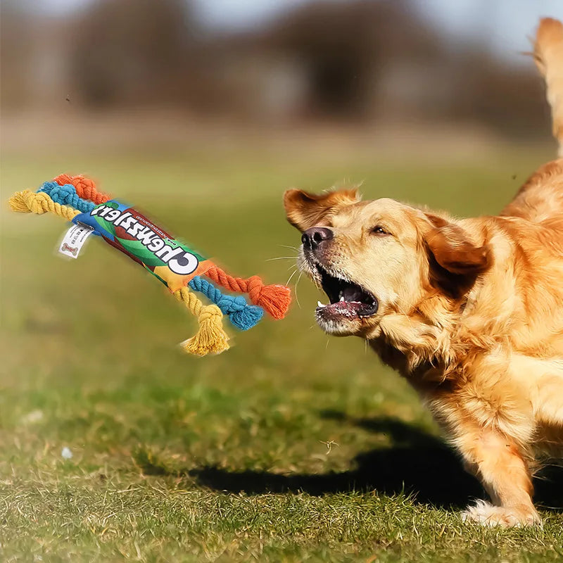 Dog Cotton Chew Rope: Braided Teeth Cleaning Toy