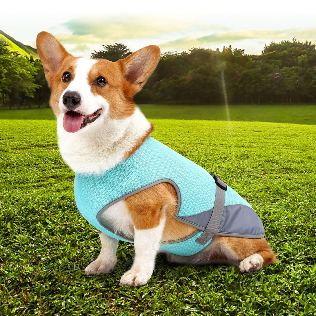 Pet Dog Cooling Summer Vest Apparel Clothing for Hot Heat - Majestic Pet Kingdom