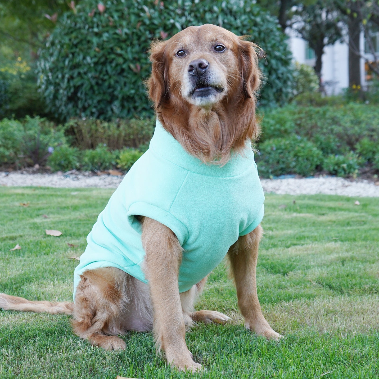 Large Dog Winter Coat: Warm Pet Apparel