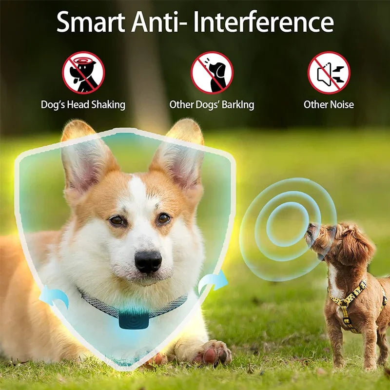 Anti-Barking Collar: Ultrasonic USB Training Device - Majestic Pet Kingdom