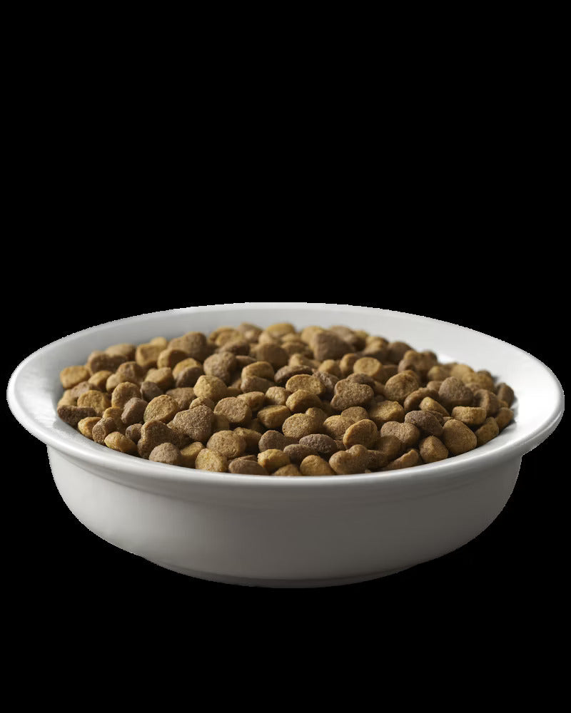 Cat Food Pro Plan Complete Essentials Chicken Rice Dry 3.5lb - Detail Angle 2 | Majestic Pet Kingdom