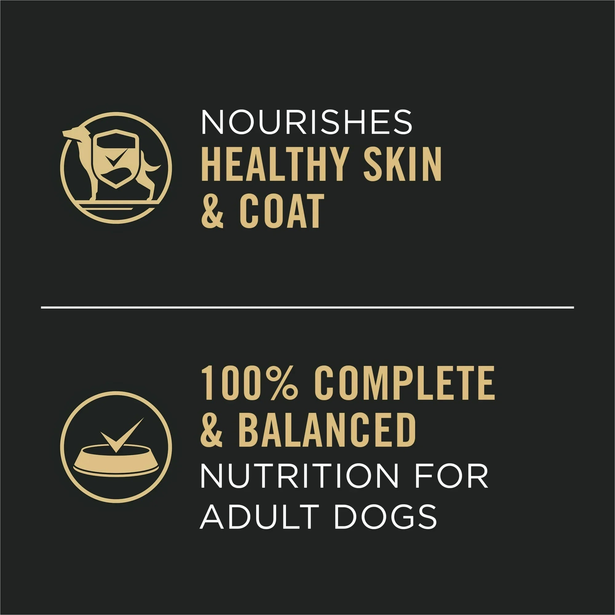 Pro Plan Complete Essentials Adult Chicken & Rice Entrée Classic Wet Dog Food (13oz) - Majestic Pet Kingdom
