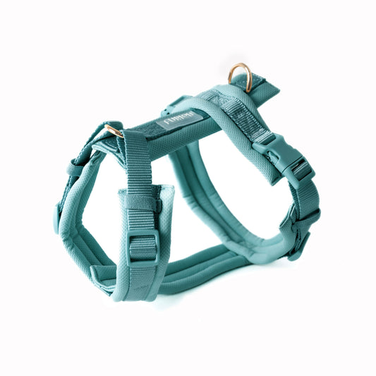 Blue - Comfort Dog Harness | Purrfect Pet Kingdom