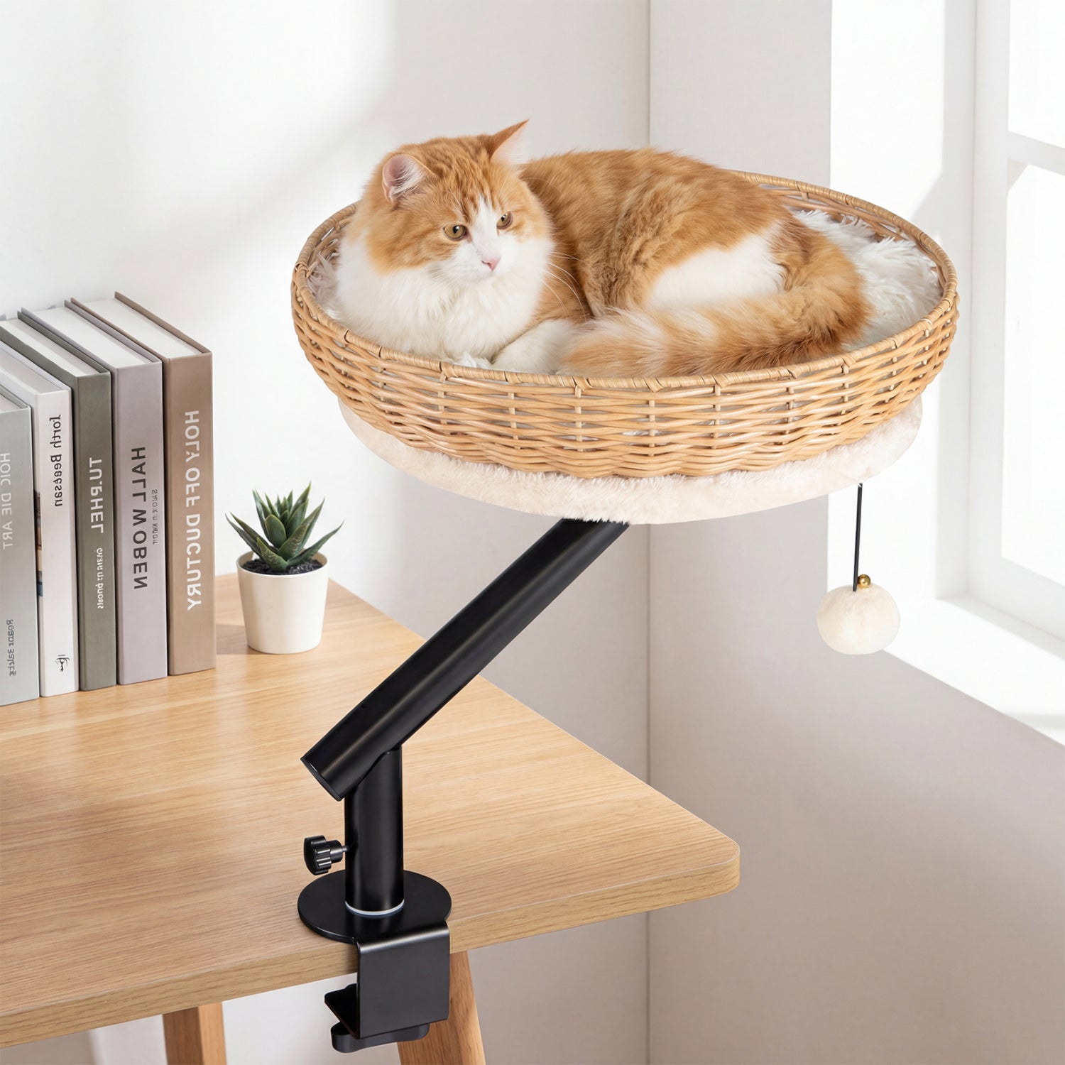 Cat Desk Bed with Removable Padded Cushion for Indoor Cats - Majestic Pet Kingdom