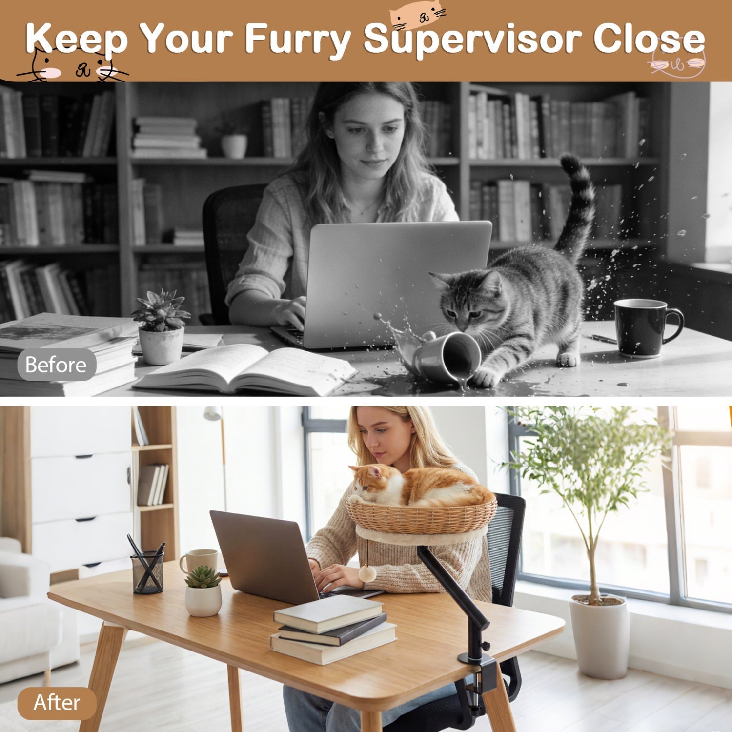Cat Desk Bed with Removable Padded Cushion for Indoor Cats - Majestic Pet Kingdom