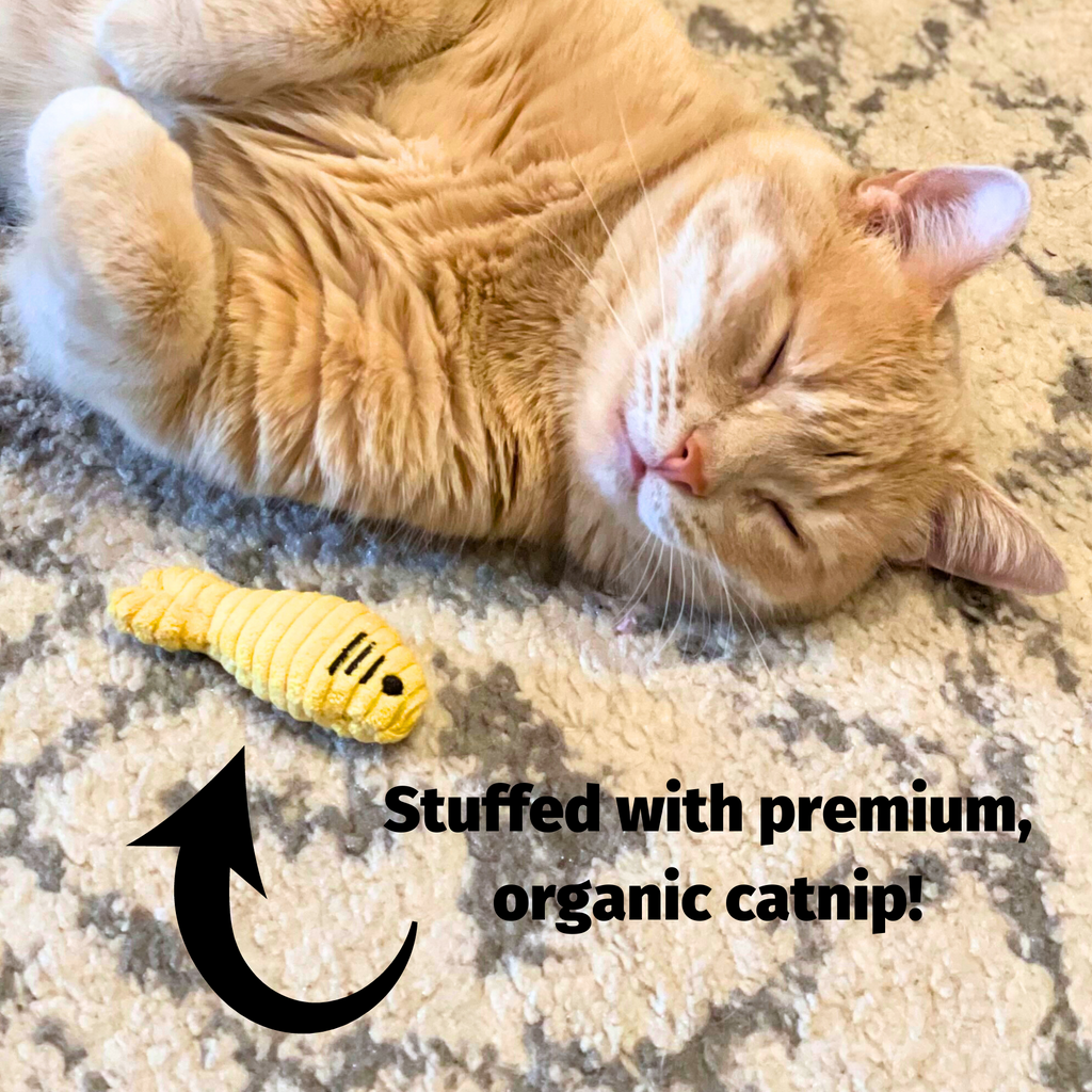 Pet Supply Product | The Finest Market
