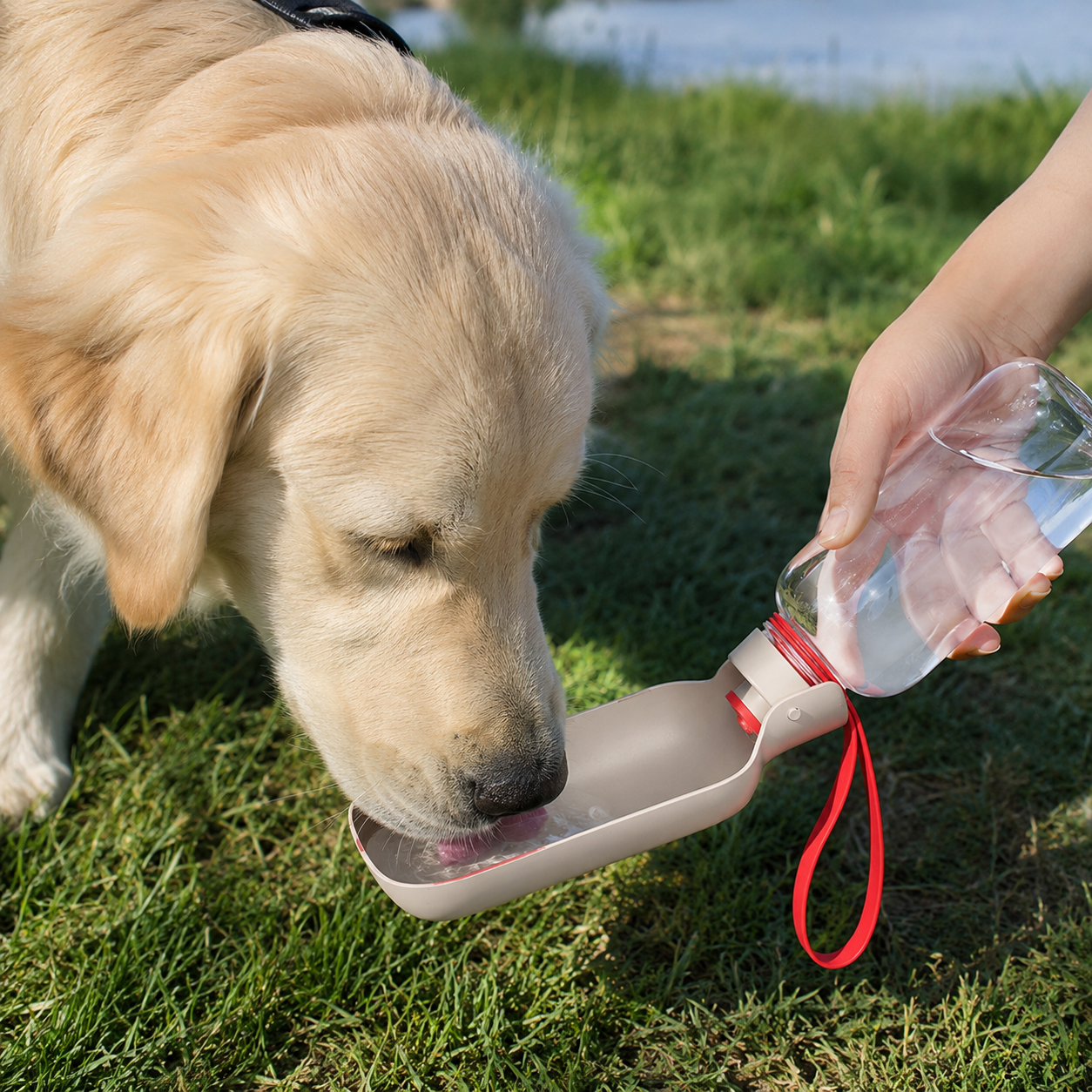 Trail Sipper Flask - Majestic Pet Kingdom