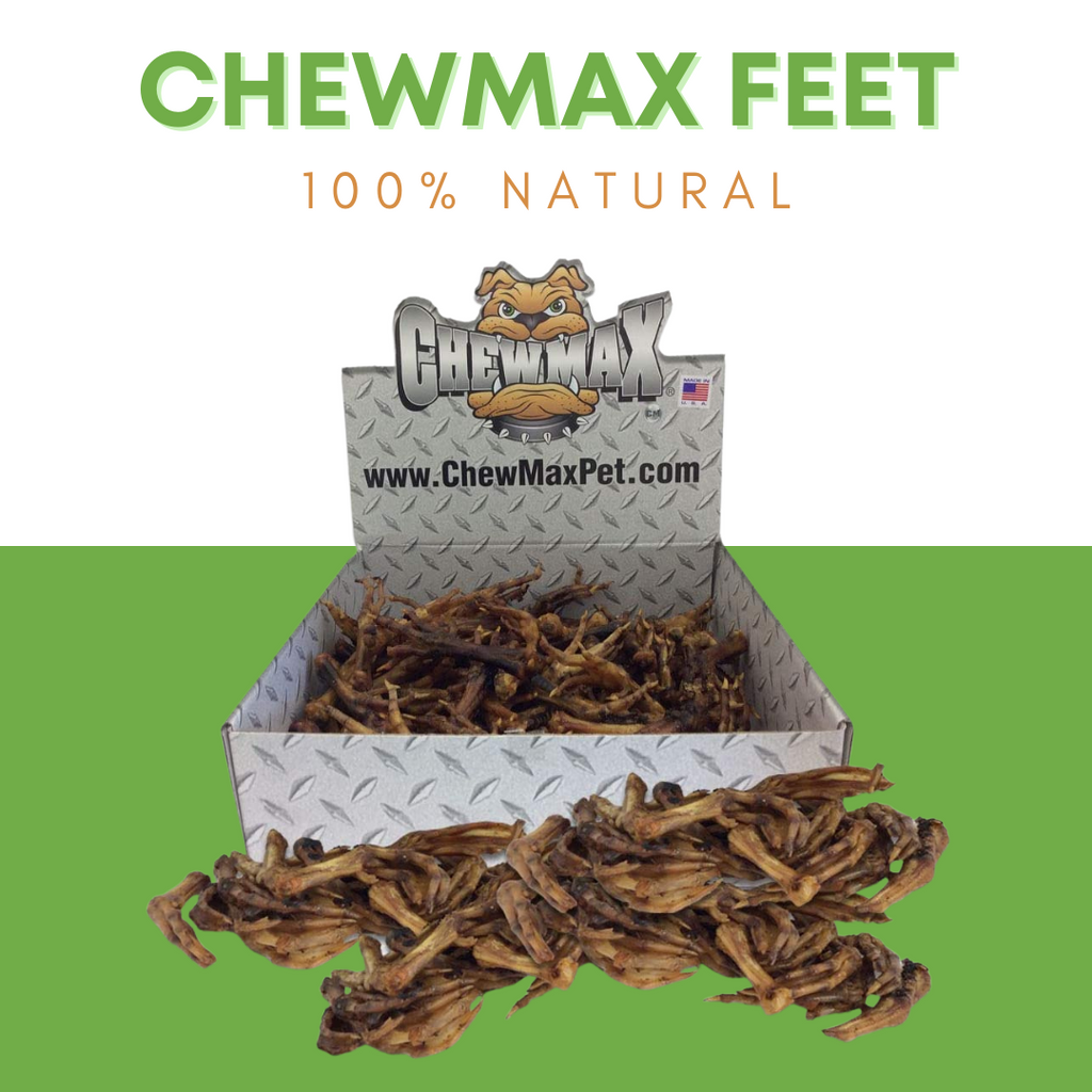 Duck Feet 3 LBS