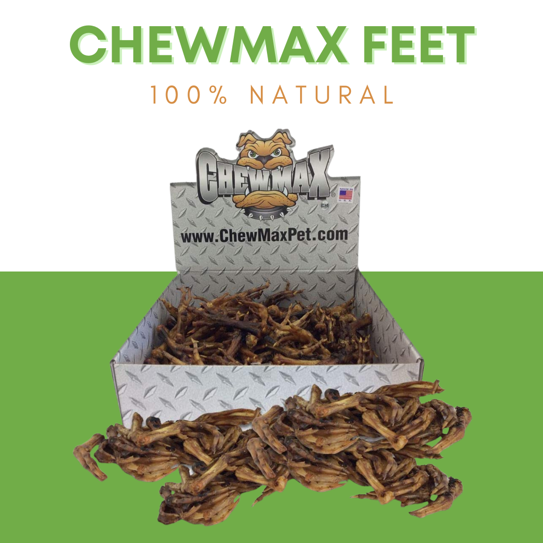 Duck Feet 3 LBS