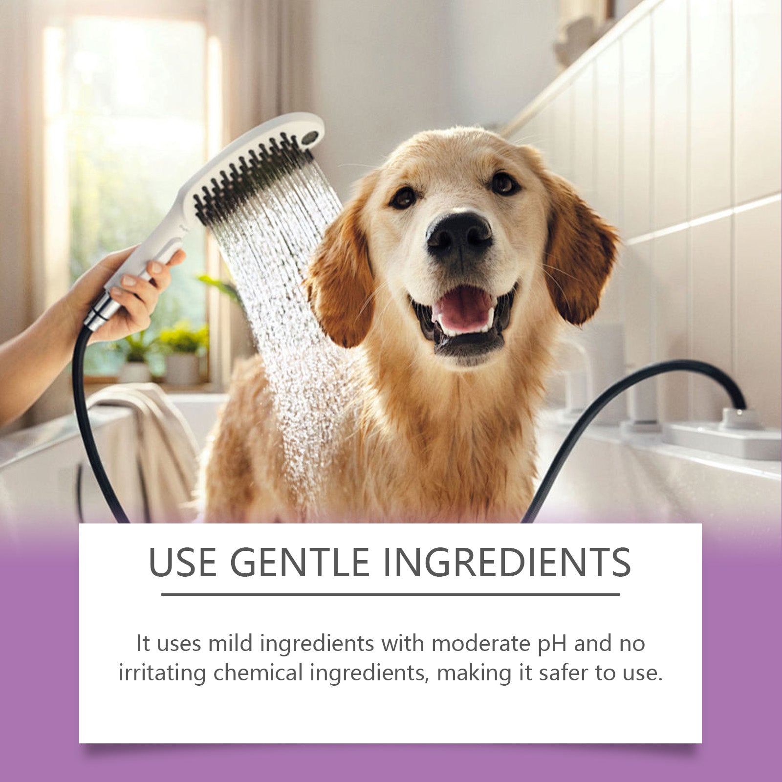 Pet Lavender Shampoo: Fluffy & Smoothing Coat Wash
