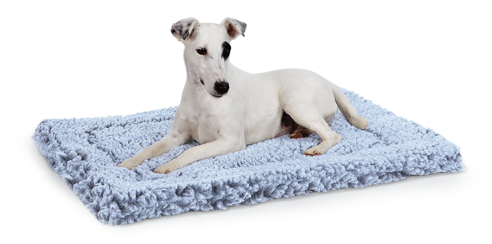 Pet Supply Product | The Finest Market