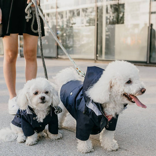 windproof-rainproof-british-retro-thick-dog-raincoat-dog-pet-submachine-jacket-luxury-view-2 | Majestic Pet Kingdom