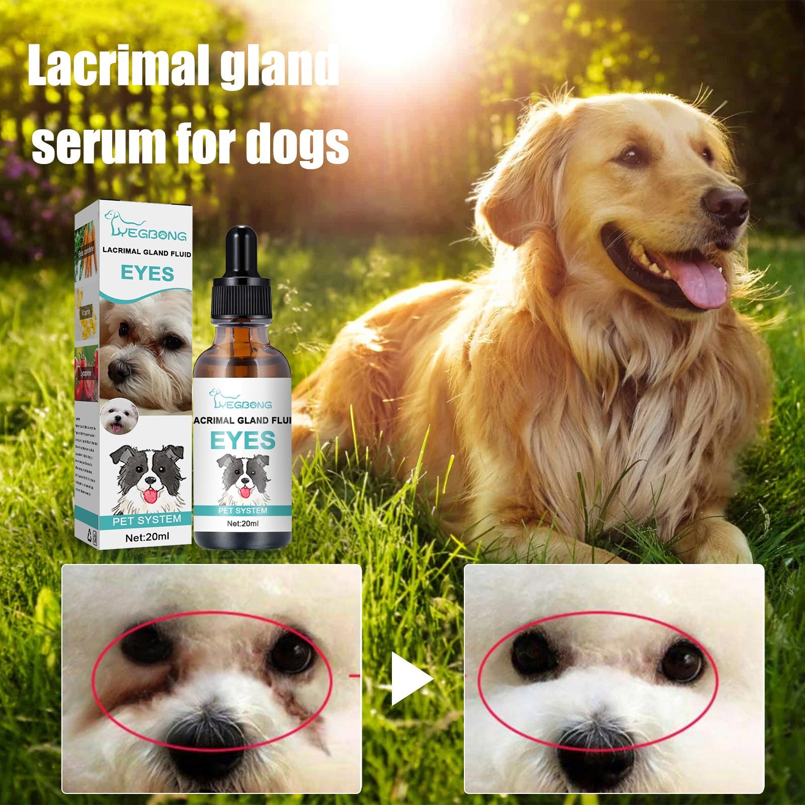 Tear Stain Remover Serum for Dogs & Cats: Topical Eye Care