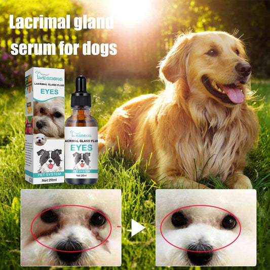 Tear Stain Remover Serum for Dogs & Cats: Topical Eye Care | Purrfect Pet Kingdom