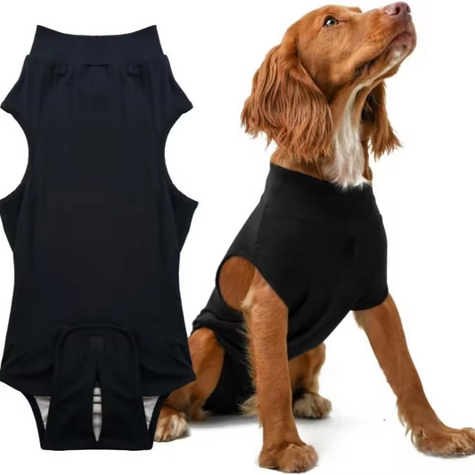 pet-sterilization-suit-wound-anti-licking-suit-suitable-all-body-types-of-dogs-surgical-recovery-clothing-set-﻿-luxury-view-1 | Majestic Pet Kingdom