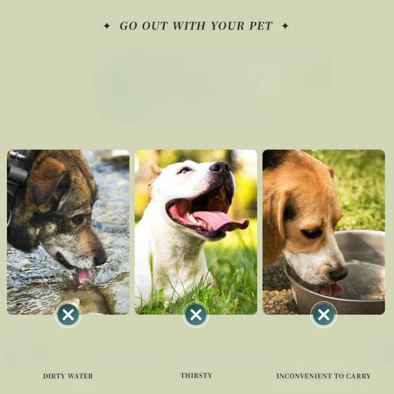 Foldable Travel Bowl: Silicone Pet Food Container - Majestic Pet Kingdom