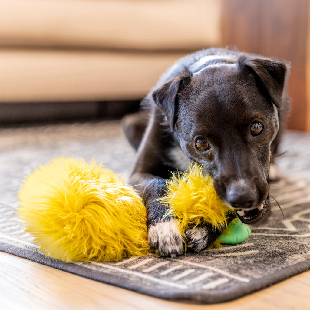 Astrid Rowdies Plush Dog Toy | Reinforced for Tough Play