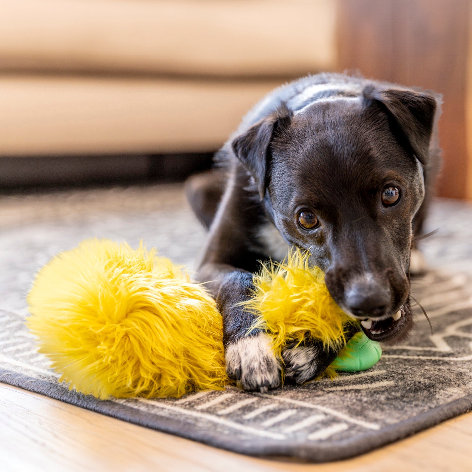 Astrid Rowdies Plush Dog Toy | Reinforced for Tough Play