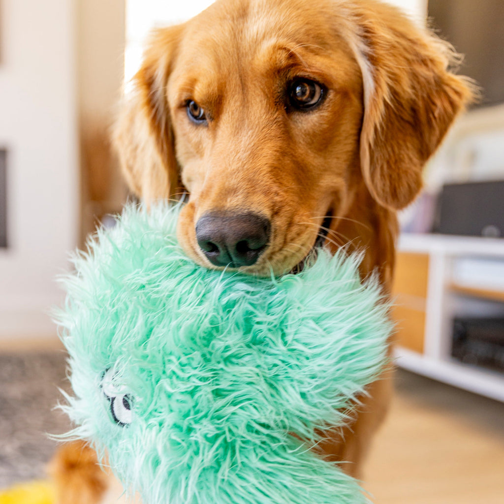 Helga Rowdies Plush Dog Toy | Reinforced for Tough Play