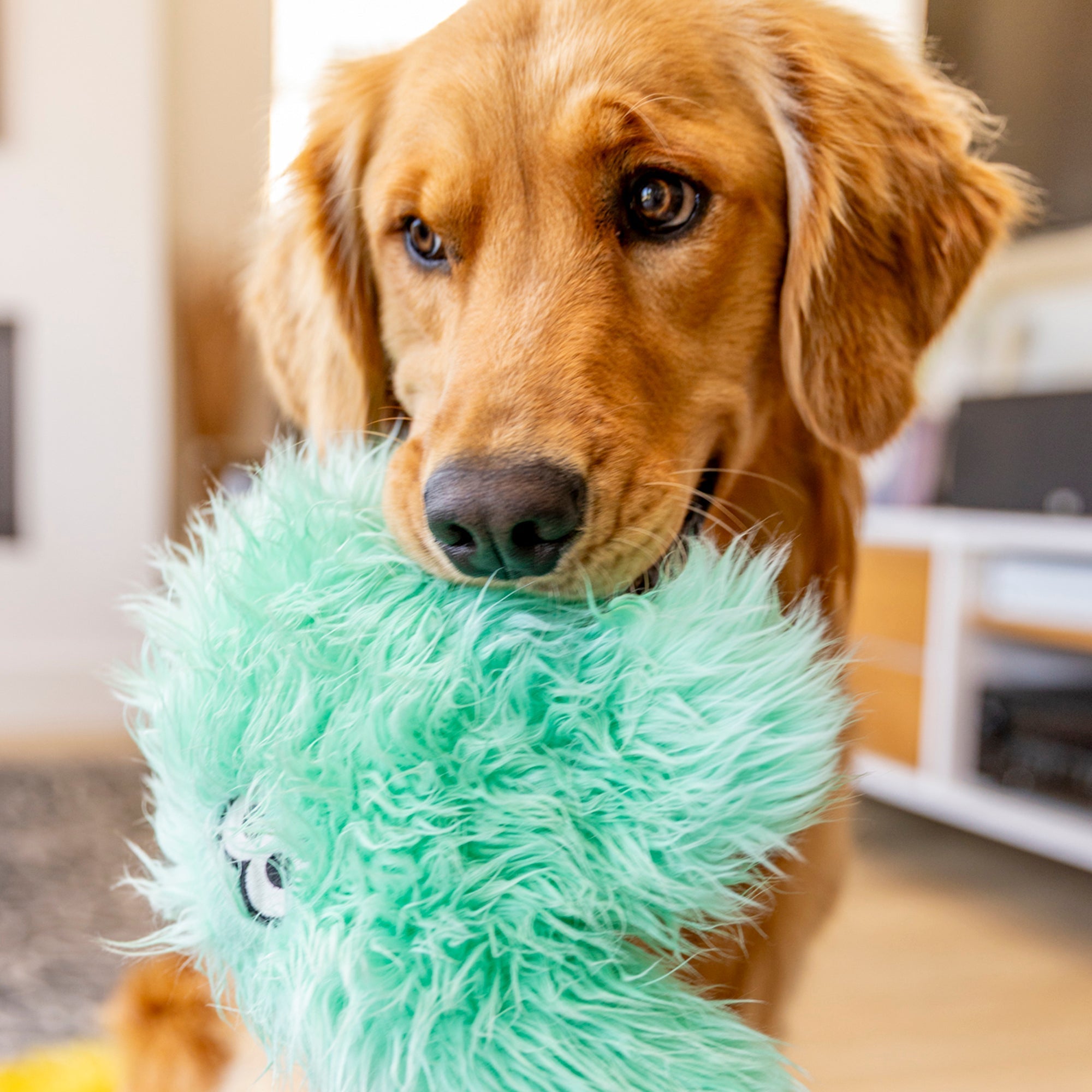 Helga Rowdies Plush Dog Toy | Reinforced for Tough Play