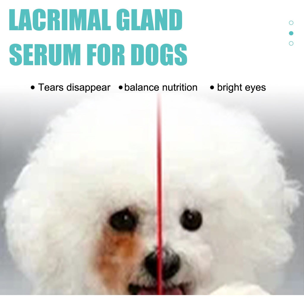 Tear Stain Remover Serum for Dogs & Cats: Topical Eye Care