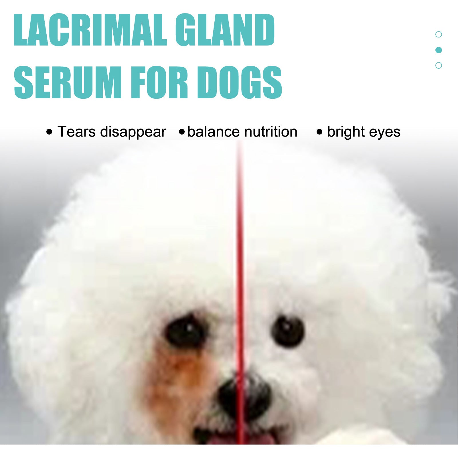 Tear Stain Remover Serum for Dogs & Cats: Topical Eye Care