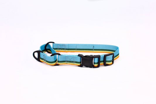 Outdoor Style All Nylon Martingale Collar
