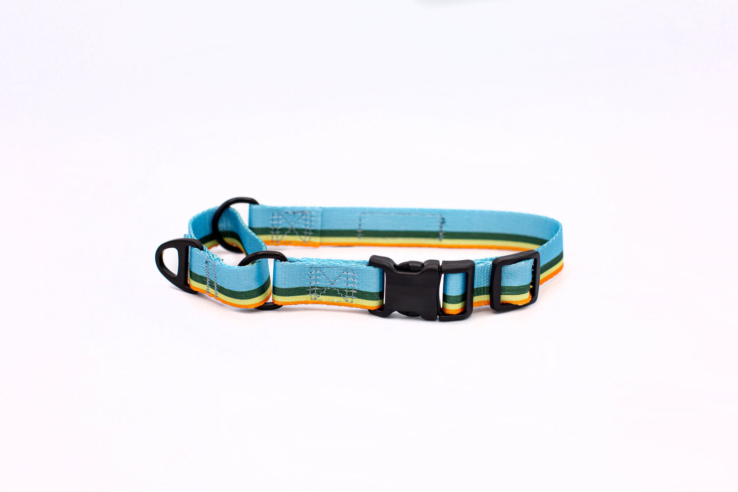 Companion Collar Martingale All-Nylon Outdoor No-Slip Training - Detail Angle 2 | Majestic Pet Kingdom