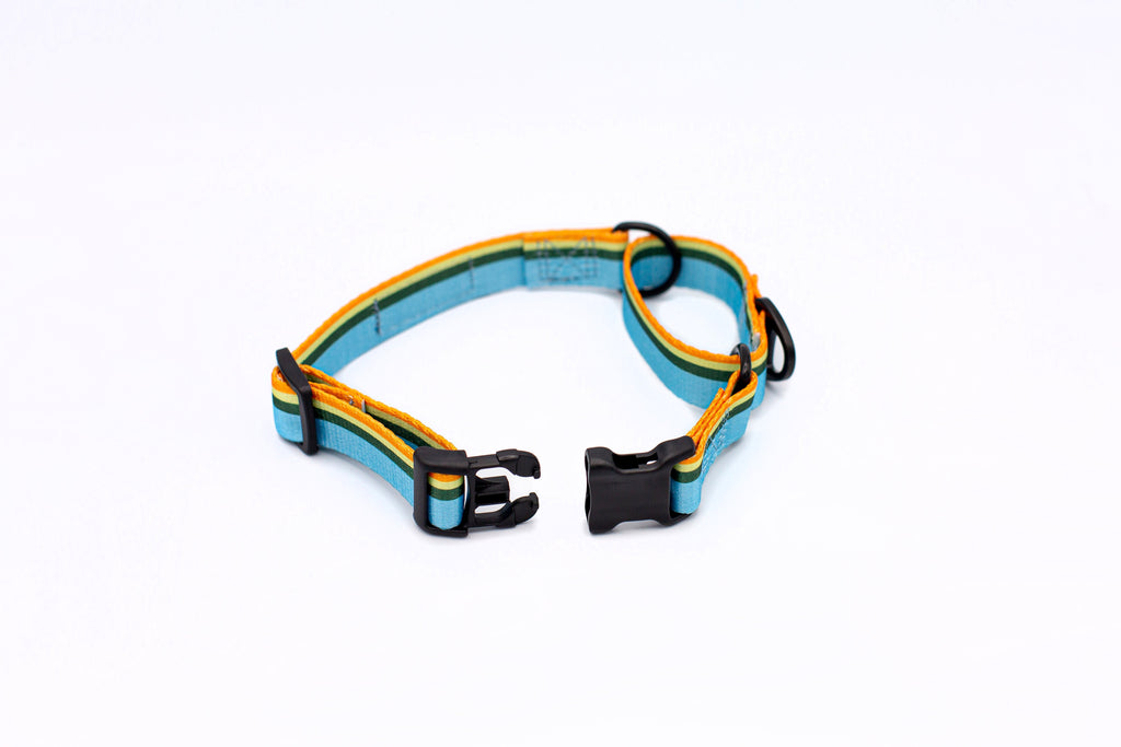 Outdoor Style All Nylon Martingale Collar