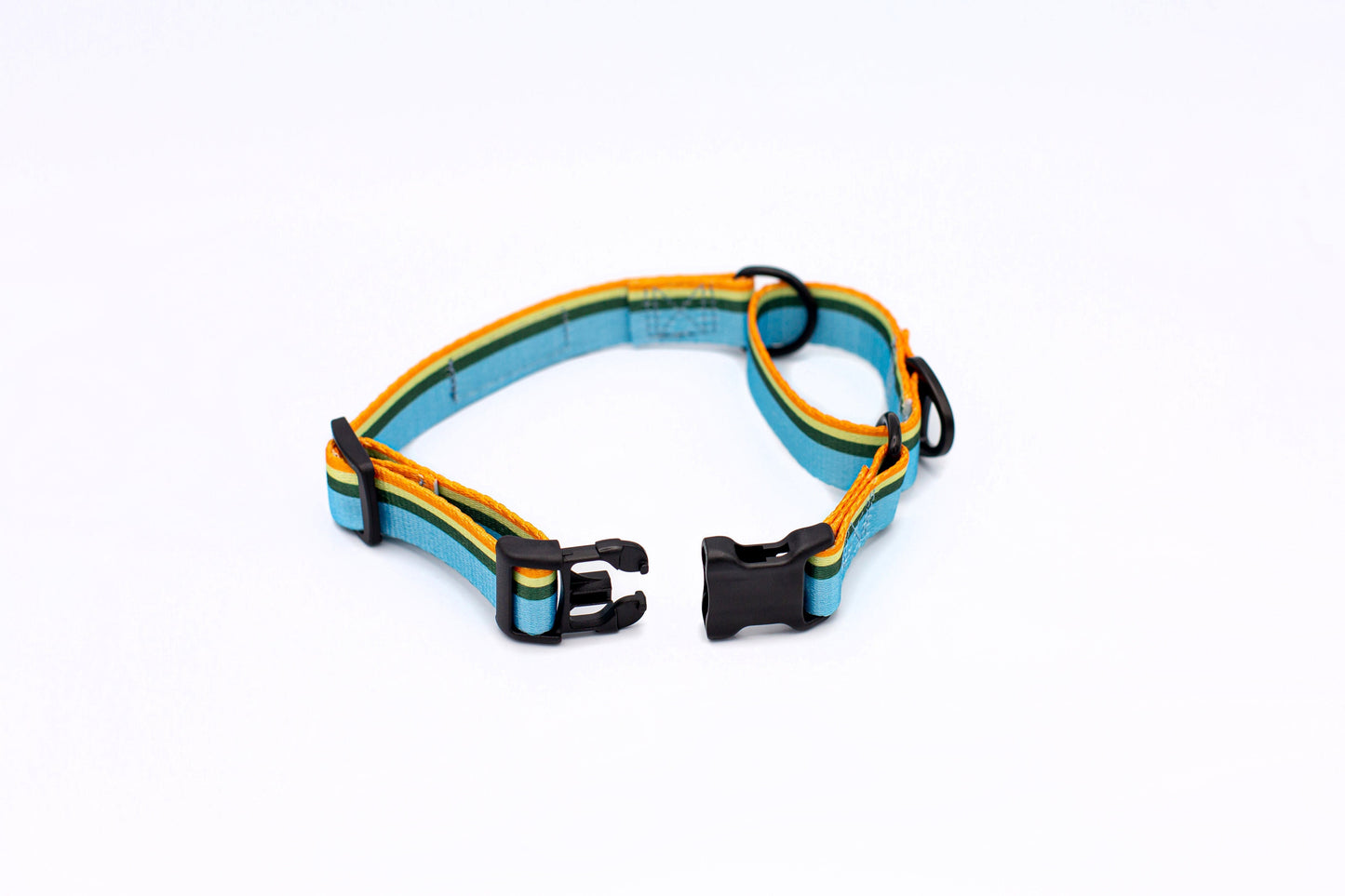 Companion Collar Martingale All-Nylon Outdoor No-Slip Training - Detail Angle 3 | Majestic Pet Kingdom