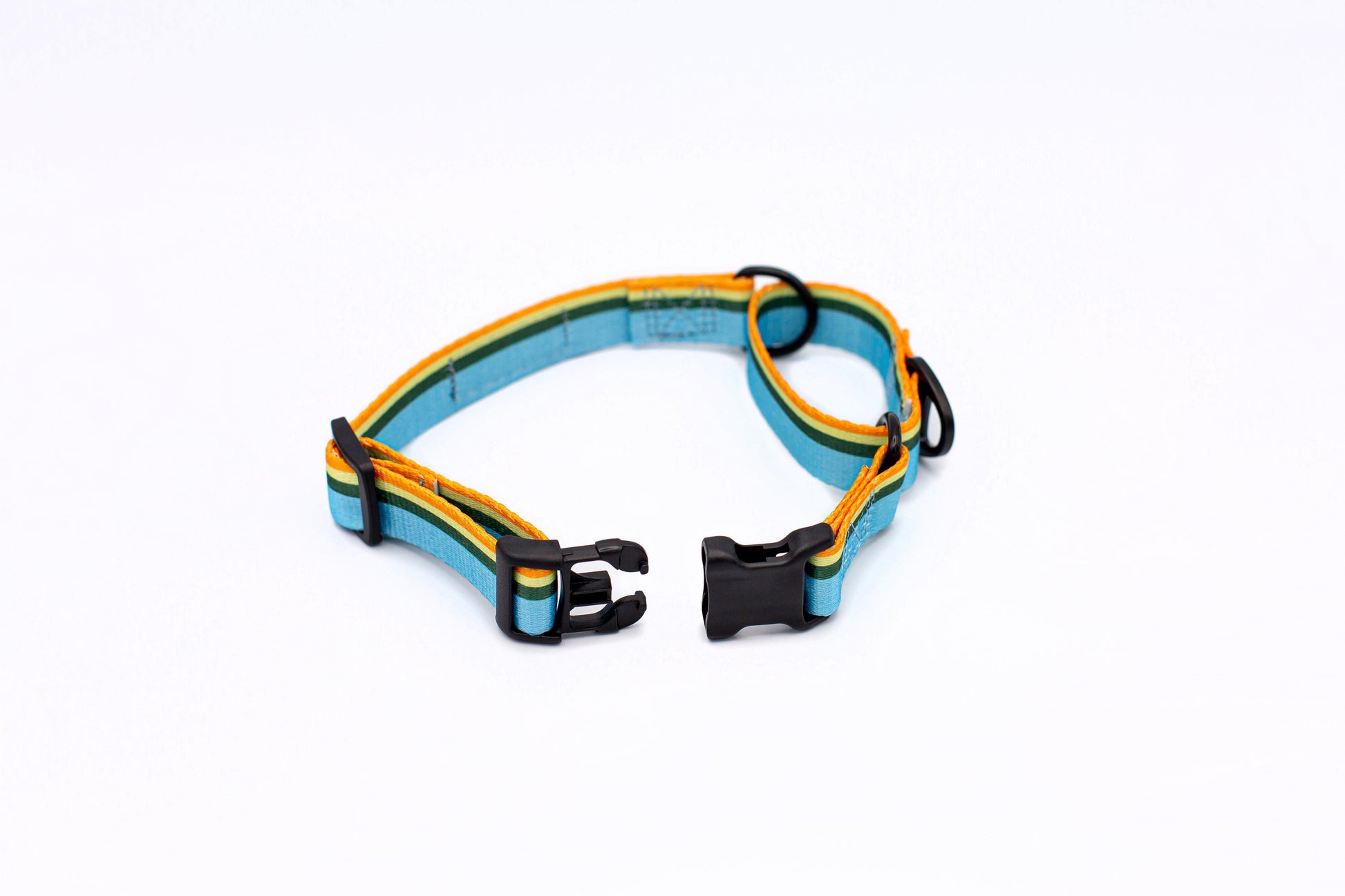 Companion Collar Martingale All-Nylon Outdoor No-Slip Training - Detail Angle 3 | Majestic Pet Kingdom