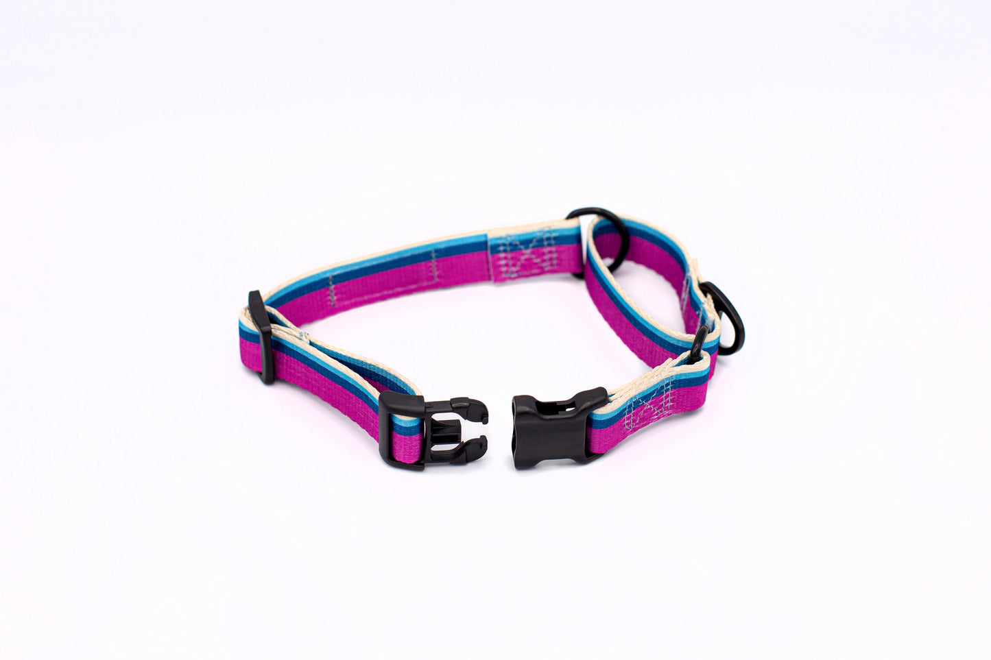 Companion Collar Martingale All-Nylon Outdoor No-Slip Training - Detail Angle 4 | Majestic Pet Kingdom