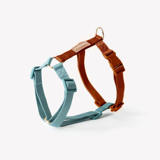 Blue and Clay - Dog Harness | Purrfect Pet Kingdom