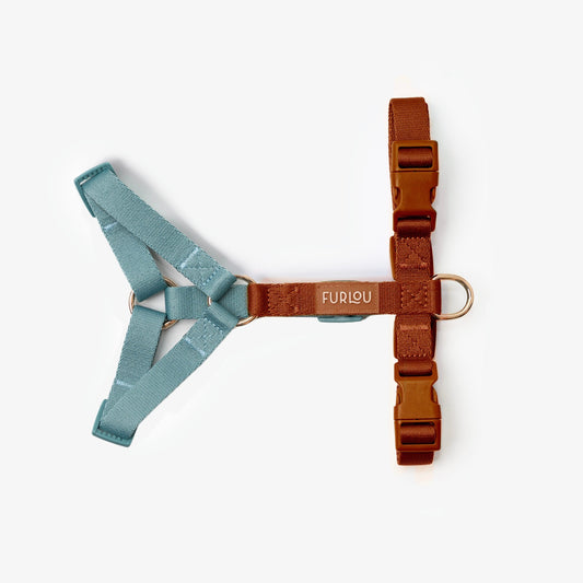 Blue and Clay - Dog Harness | Purrfect Pet Kingdom