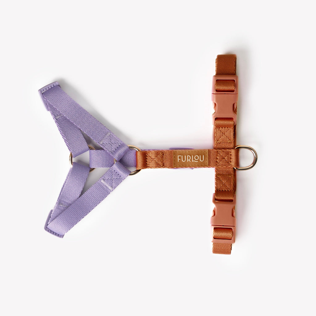 Lavender and Terracotta - Dog Harness