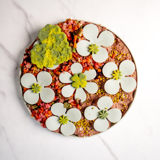 Snuffle Mat Flowers | Purrfect Pet Kingdom