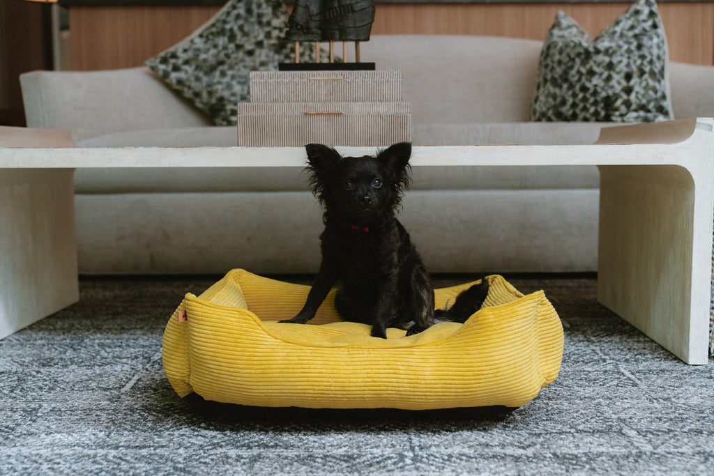 Fancy Corduroy Sleeper Dog Bed - Sunny Yellow Cushion - Majestic Pet Kingdom