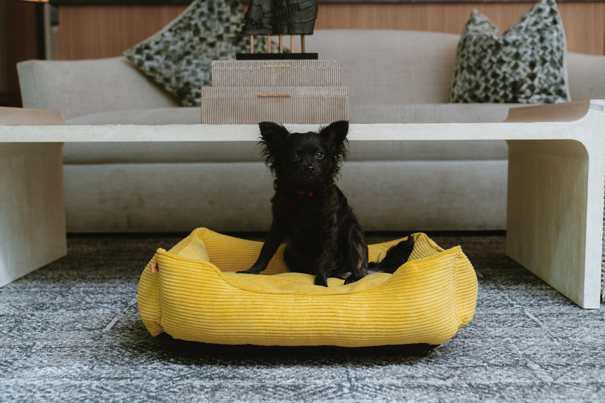 Fancy Corduroy Sleeper Dog Bed - Sunny Yellow Cushion - Majestic Pet Kingdom