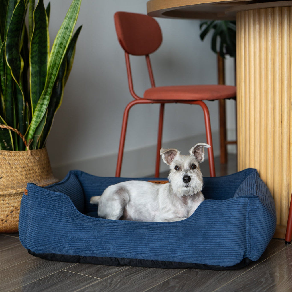 Fancy Corduroy Sleeper Dog Bed - Ocean Blue Cushion Bed - Majestic Pet Kingdom