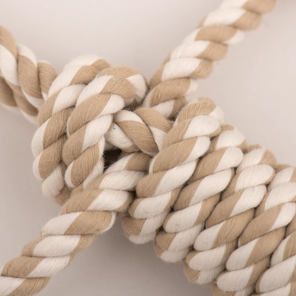 Pet Supply Product | The Finest Market