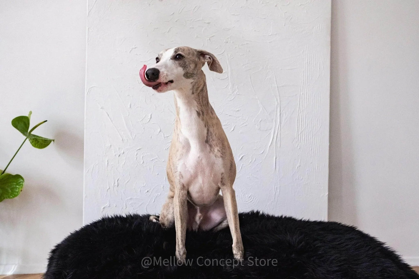 Oval Sheepskin™ Luxury Pet Bed - Majestic Pet Kingdom