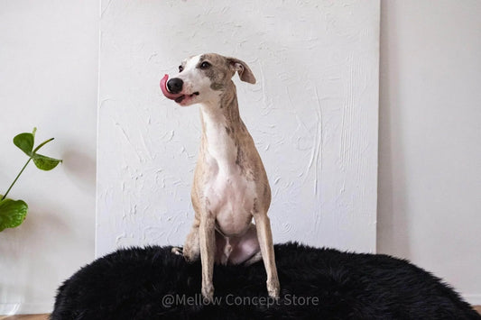 Oval Sheepskin™ Luxury Pet Bed - High Quality Pet Product