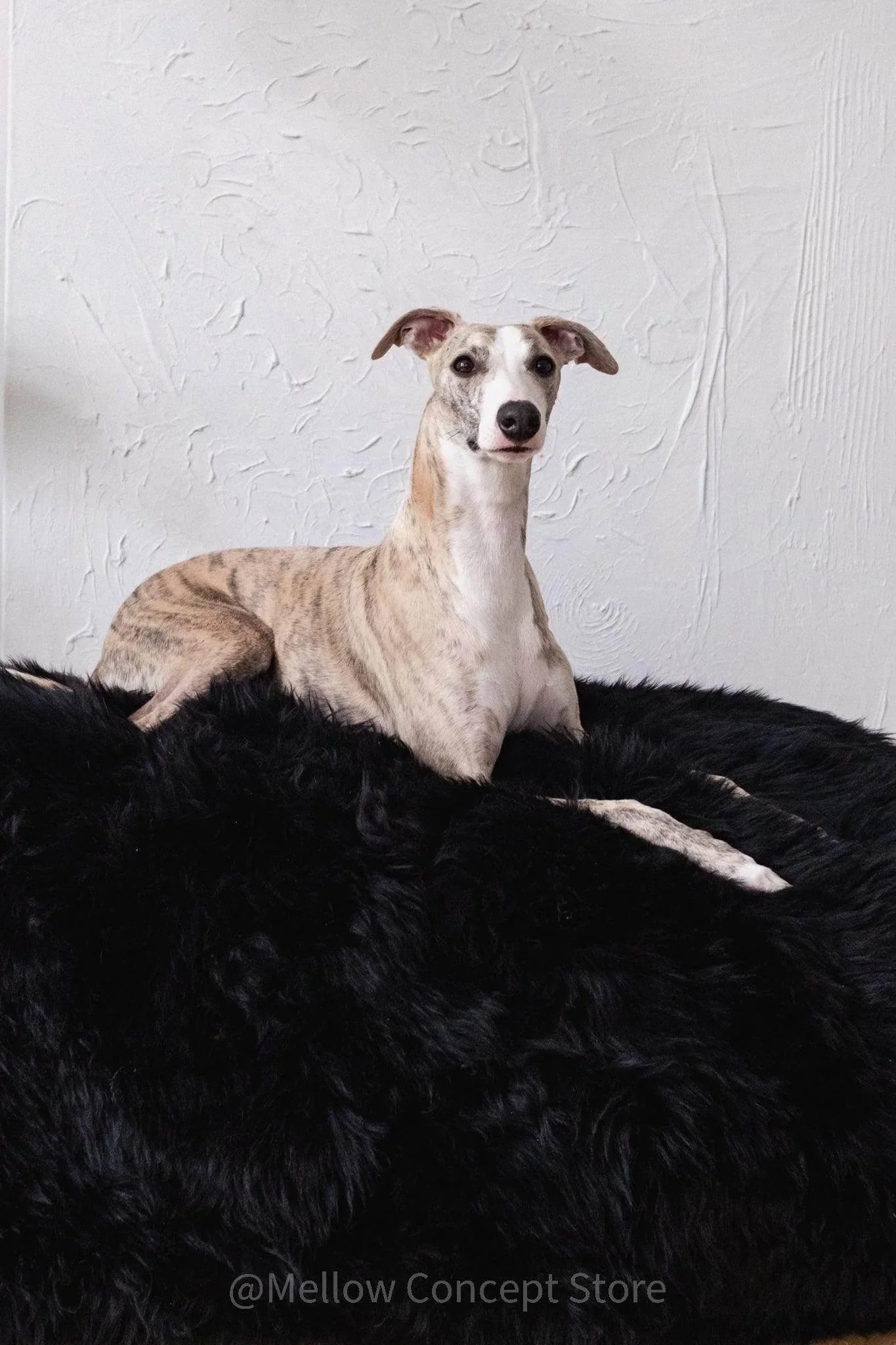 Oval Sheepskin™ Luxury Pet Bed - Majestic Pet Kingdom