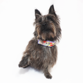 Daisy Faux Fur Ergonomic Walking Harness Premium Design | Majestic Pet Kingdom™